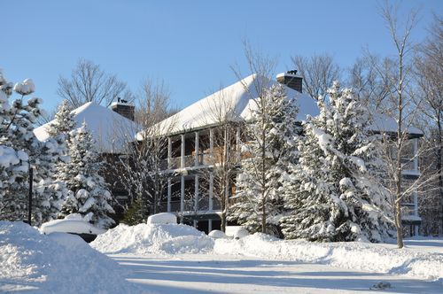 4 Season Fun At Legend Cottage Inn Bellaire Dış mekan fotoğraf